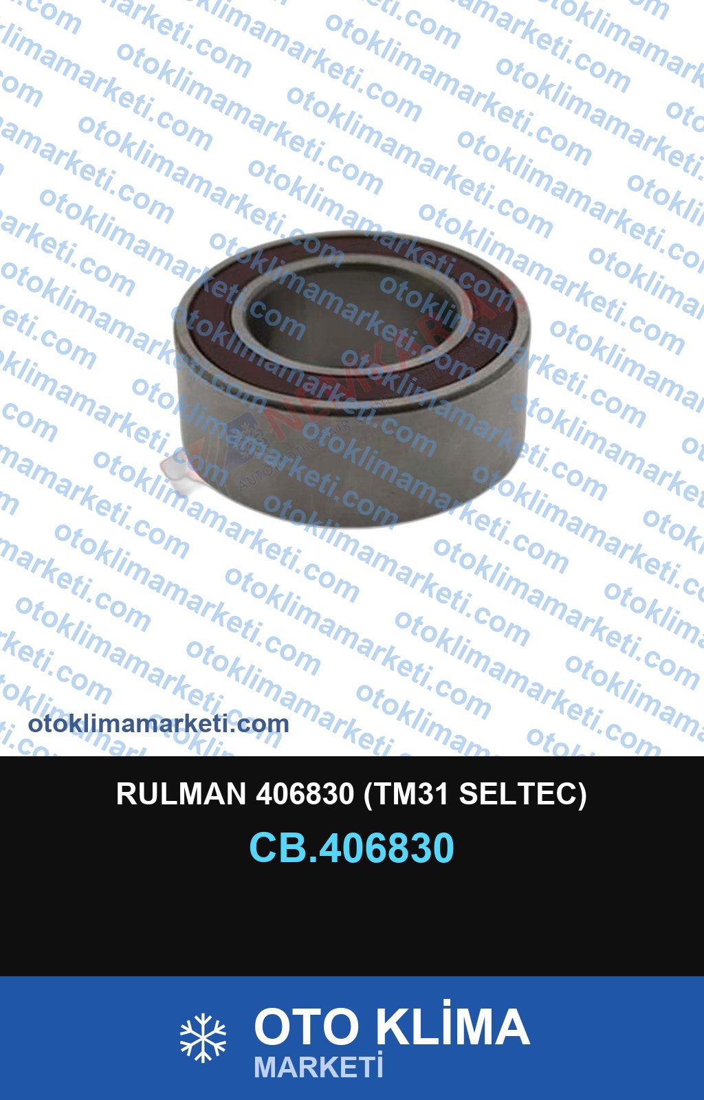 RULMAN 406830 (TM31 SELTEC)