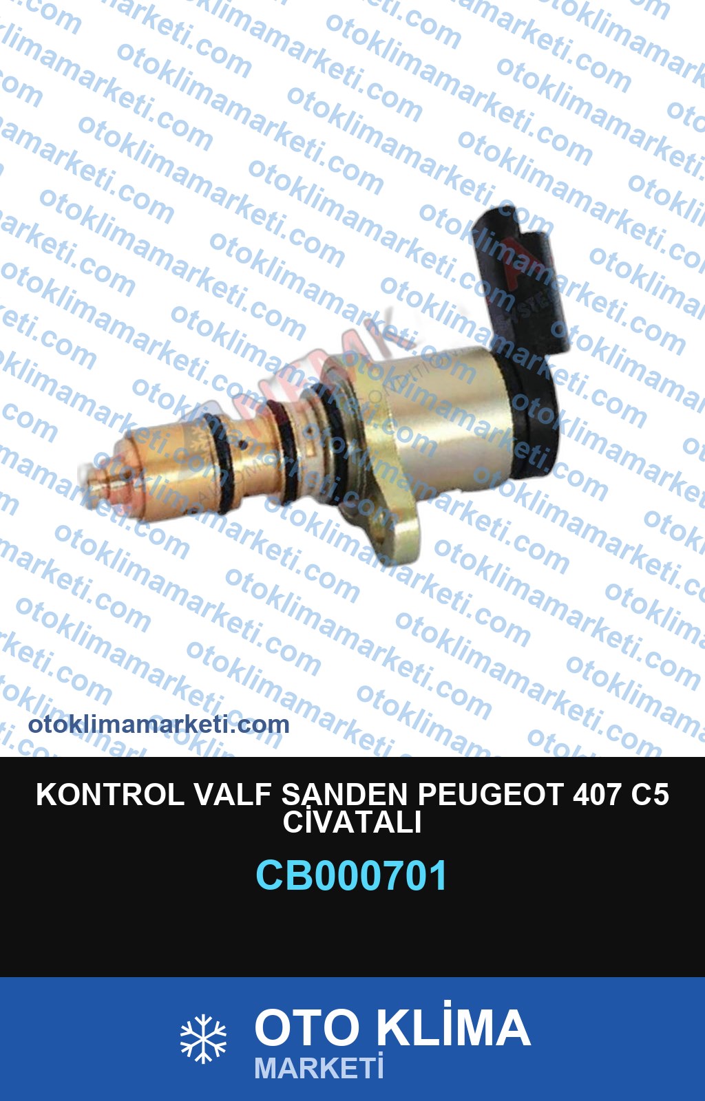 KONTROL VALF SANDEN PEUGEOT 407 C5 CİVATALI