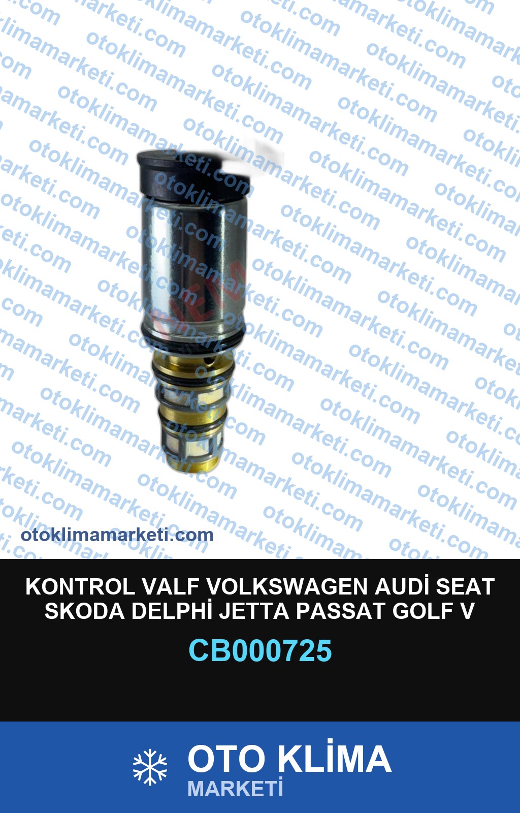 KONTROL VALF VOLKSWAGEN AUDİ SEAT SKODA DELPHİ JETTA PASSAT GOLF V CADDY