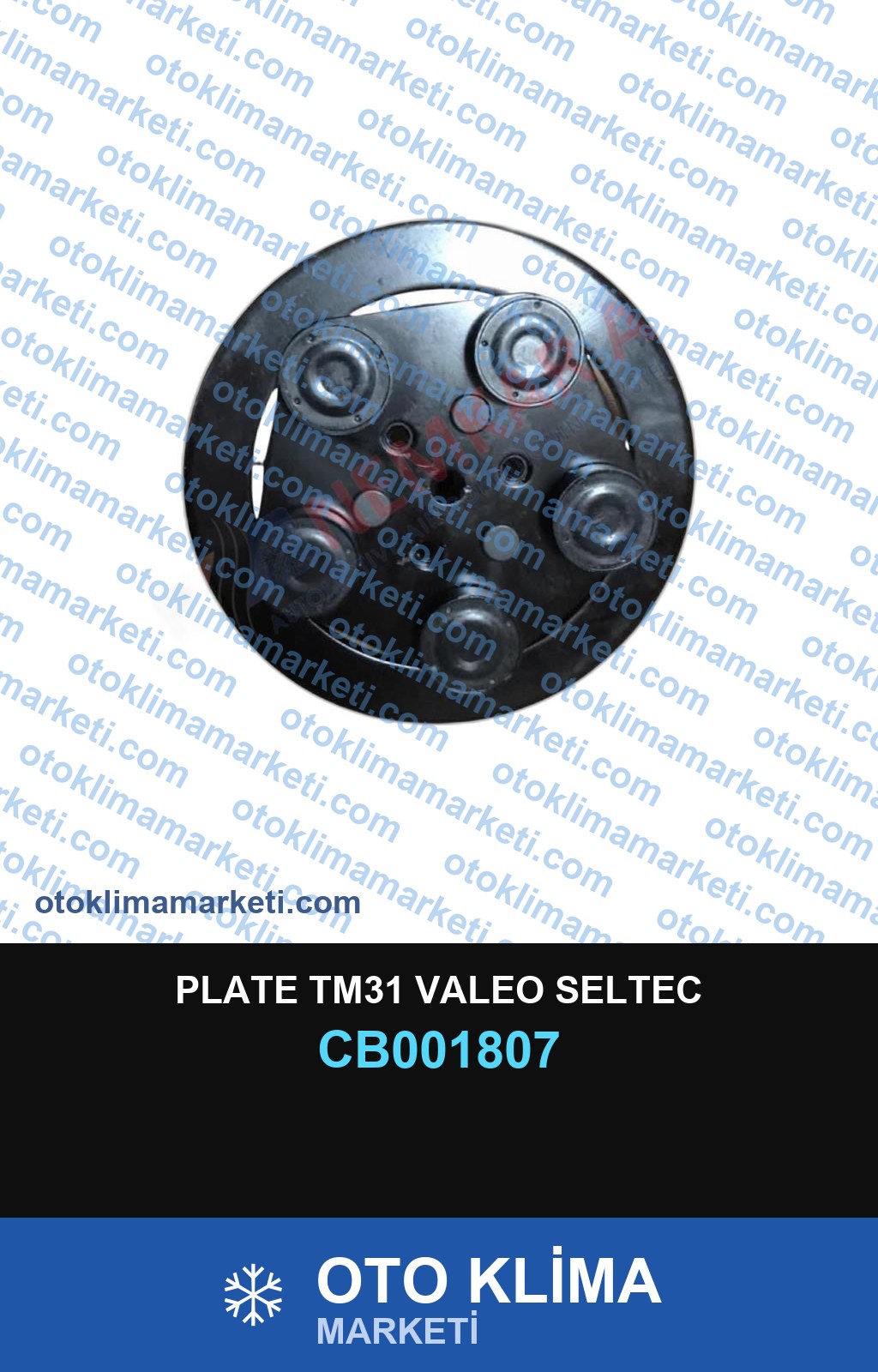 PLATE TM31 VALEO SELTEC
