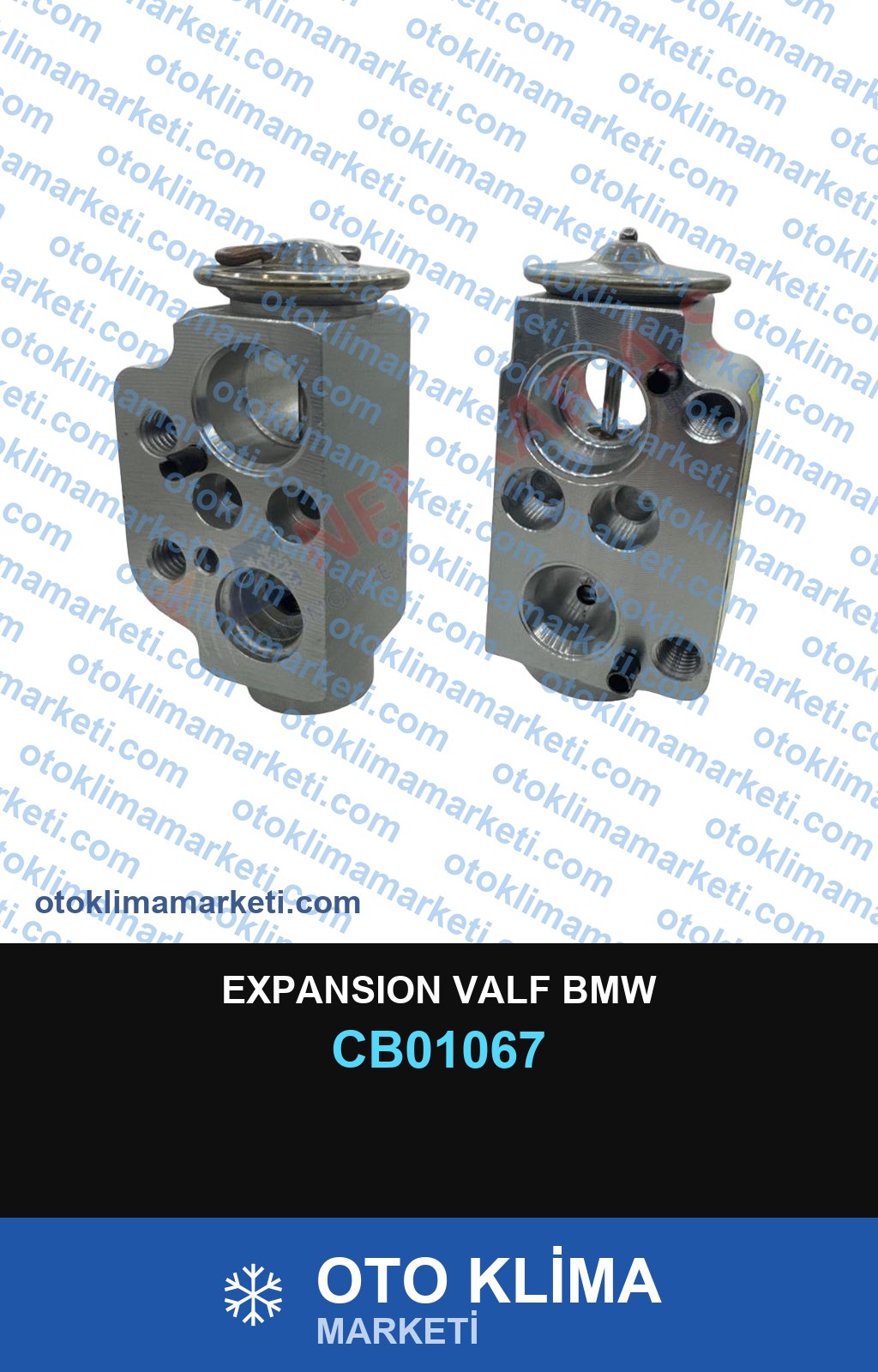 EXPANSION VALF BMW