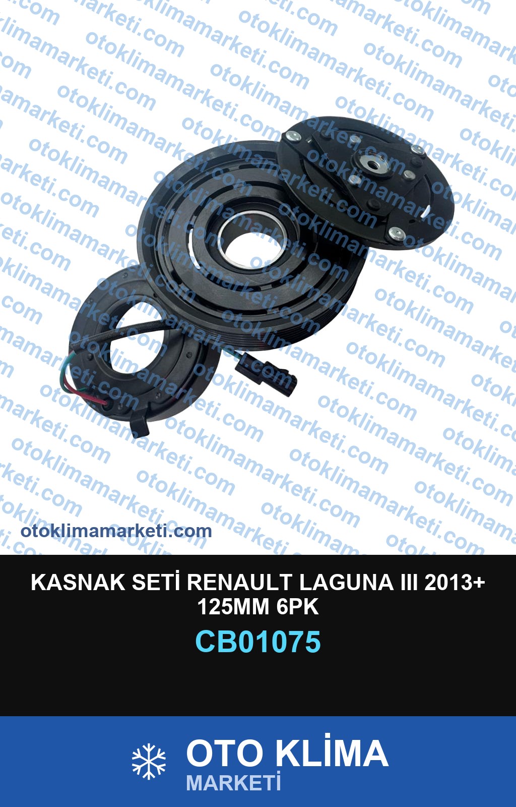 KASNAK SETİ RENAULT LAGUNA III 2013+ 125MM 6PK